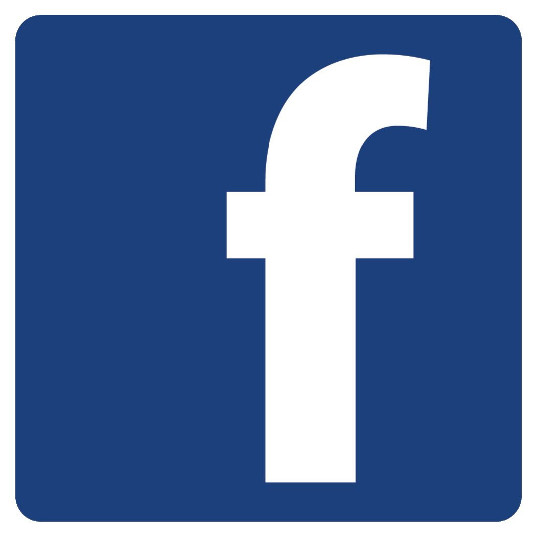 facebook
                button