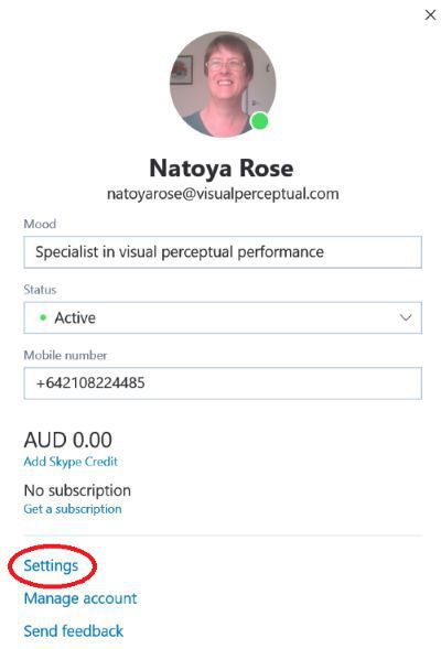 skype access window